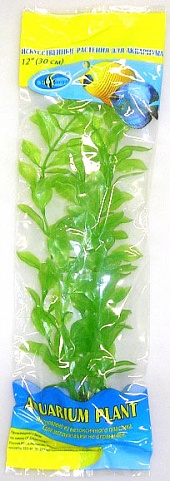 Растение Биодизайн Гигрофила резная M023/30 (высота 30 см.)