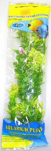 Растение Биодизайн Синема цветущая M039/50 (высота 50 см.)