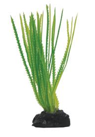 Растение Гелеохарис, 9 см PPBT19