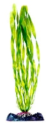 Растение Валлиснерия с утяжелителем, 25,4 см P17LH