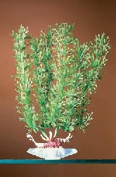 Растение Нинелла, 33,02 см P14EL