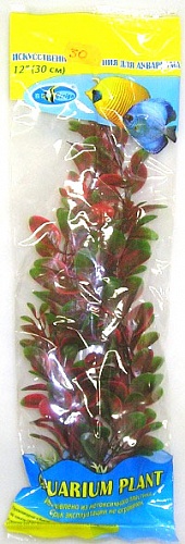 Растение Биодизайн Людвигия красно-зеленая M030/80 (высота 80 см.)
