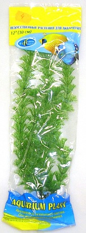 Растение Биодизайн Амбулия M004/10 (высота 10 см.)