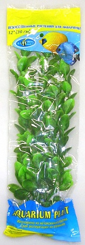 Растение Биодизайн Людвигия салатовая M003/10 (высота 10 см.)