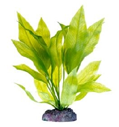 Растение Эхинодорус с утяжелителем, 25,4 см P32ZSUH