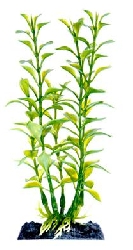 Растение Людвигия зеленая с утяжелителем, 45,72 см P12SUH