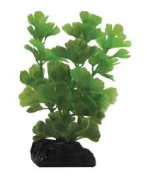 Растение Клевер, 9 см PPBT13