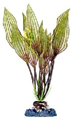 Растение Увирандра с утяжелителем, 20,32 см P7MH