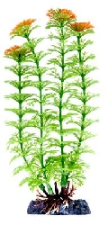 Растение Амбулия с утяжелителем, 25,4 см P18LH