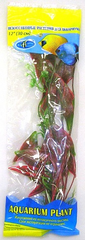 Растение Биодизайн Стрелолист M032/10 (высота 10 см.)