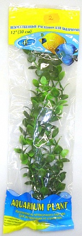 Растение Биодизайн Бакопа салатовая M002/50 (высота 50 см.)