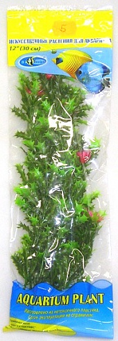 Растение Биодизайн Водяная колючка M005/10 (высота 10 см.)