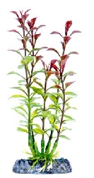 Растение Людвигия красная с утяжелителем, 33,02 см P12RELH