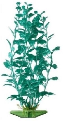 Растение перламутровое Кардамин зеленый P15LGR