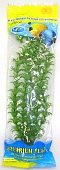 Растение Биодизайн Амбулия салатовая M009/20 (высота 20 см.)