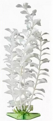 Растение перламутровое Людвигия белая P12SW