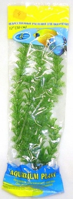 Растение Биодизайн Амбулия M004/10 (высота 10 см.)