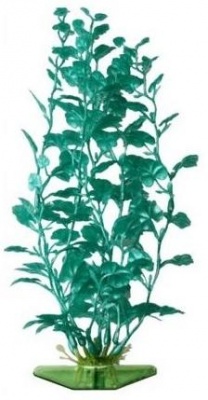 Растение перламутровое Кардамин зеленый P15LGR