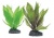 Растение Увирандра зелено-красная с утяжелителем, 15,24 см P32LM